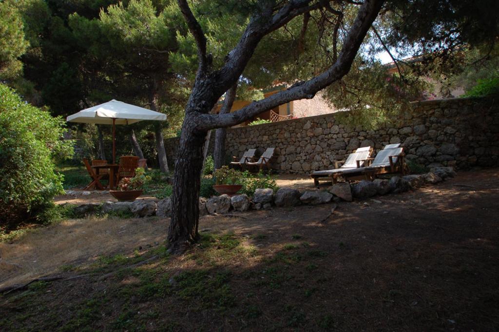 Animosque Giannutri Bed & Breakfast Exterior photo